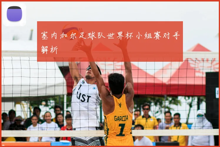 塞内加尔足球队世界杯小组赛对手解析