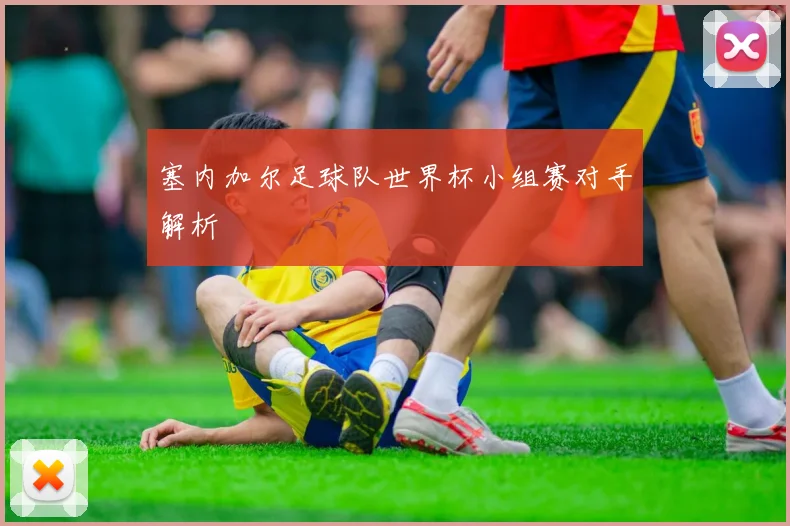 塞内加尔足球队世界杯小组赛对手解析